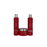 Kit Queratina Dia a Dia 03 Passos 300ml