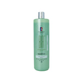 Shampoo Menta Dia a Dia 1L