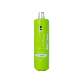 Shampoo Argan Dia a Dia 1L